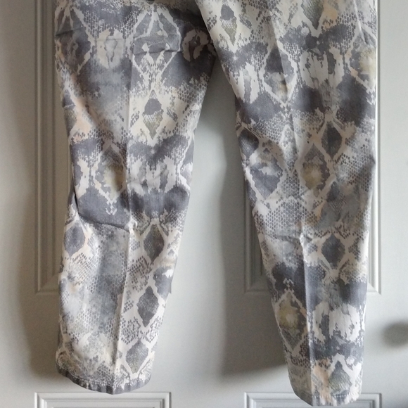 Lane Collection 👖NEW Platinum Denim Skinny Jeans Plus Size - Picture 4 of 13